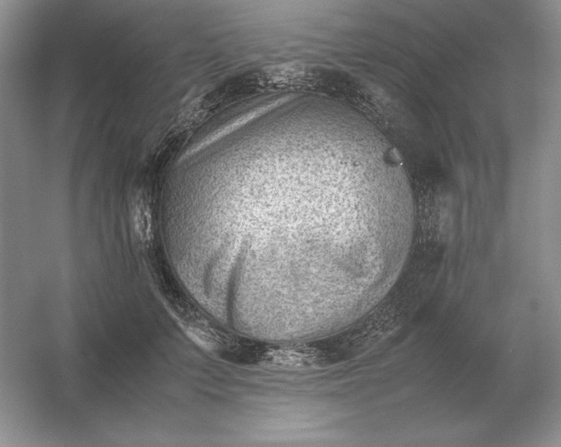 X0000053150703200507251842