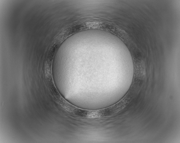 X0000053150705200507251842