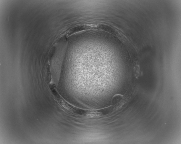 X0000053150707200507251842