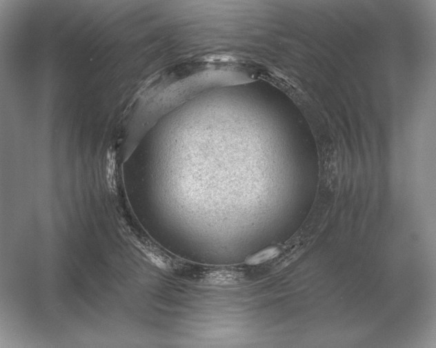 X0000053150708200507251842