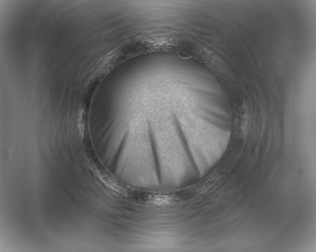 X0000053150710200507251842