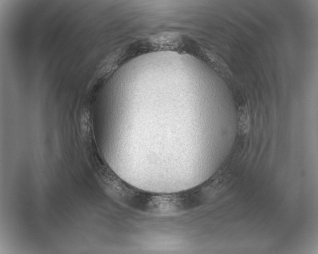 X0000053150713200507251842