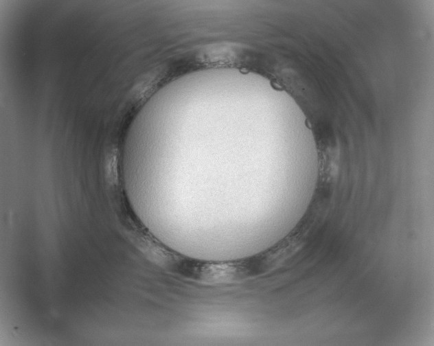 X0000053150717200507251842