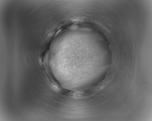 X0000053150720200507251841