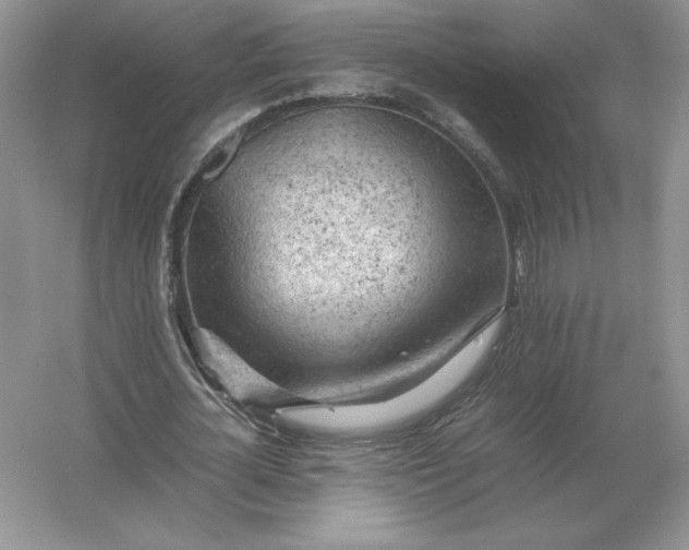 X0000053150724200507251841