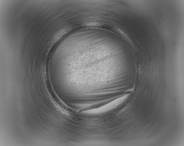 X0000053150725200507251841