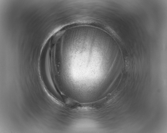 X0000053150726200507251841