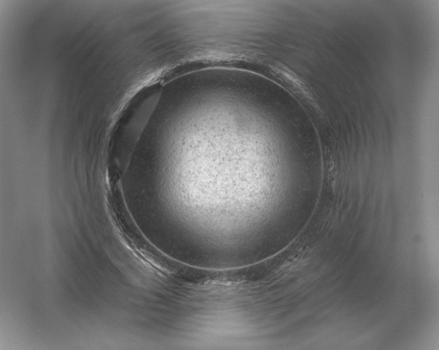 X0000053150732200507251841