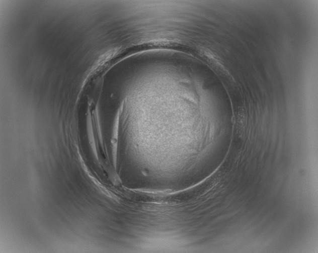 X0000053150734200507251841