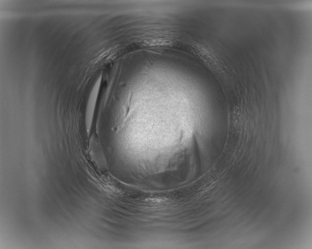X0000053150741200507251841