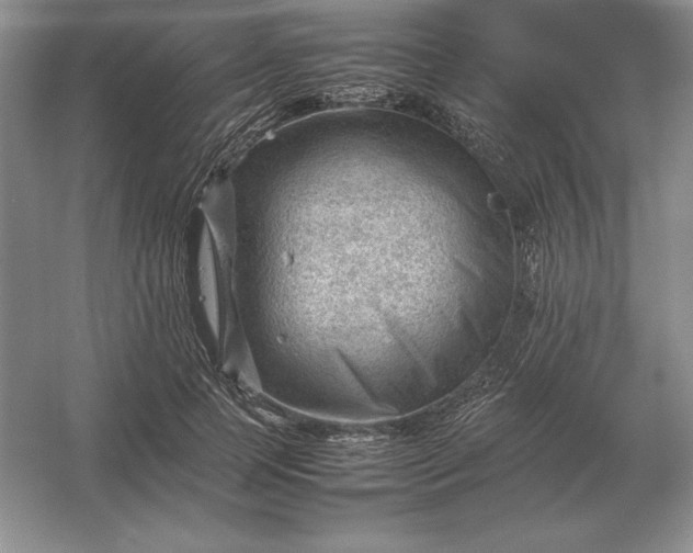X0000053150745200507251841