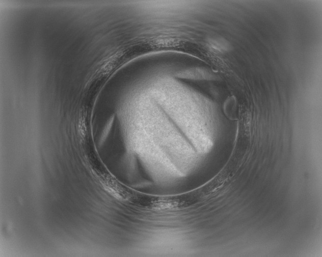 X0000053150746200507251841