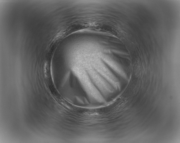 X0000053150747200507251841