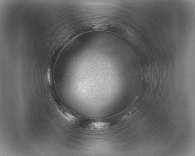 X0000053150748200507251841