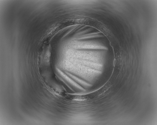 X0000053150750200507251841