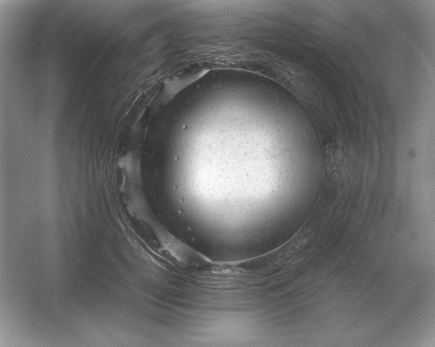 X0000053150752200507251841