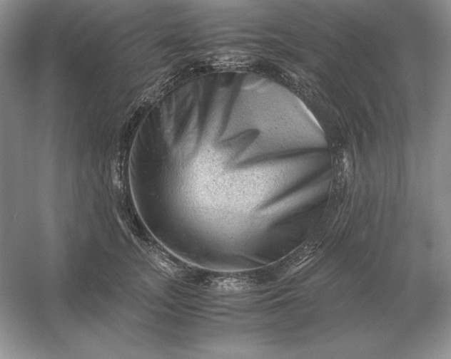 X0000053150755200507251841