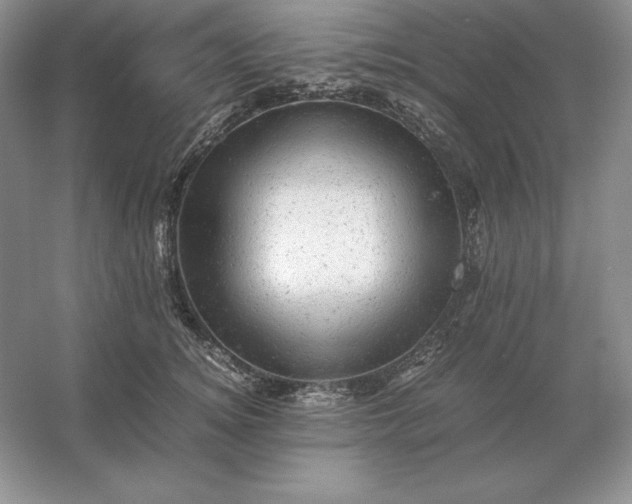 X0000053150756200507251841