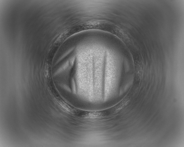 X0000053150758200507251841