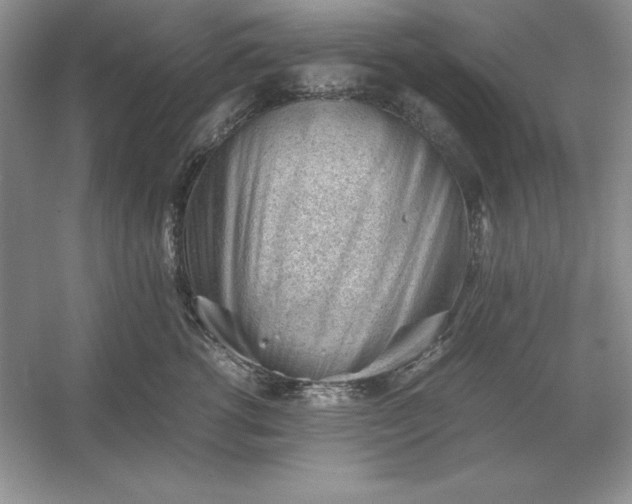 X0000053150762200507251841