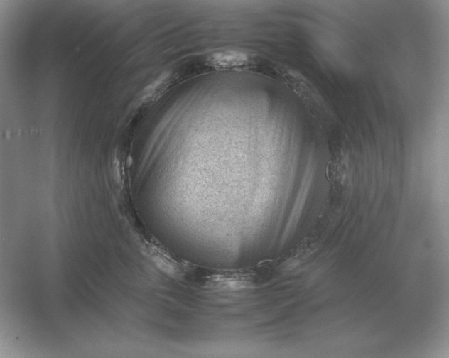 X0000053150763200507251841