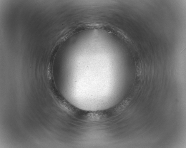 X0000053150764200507251841
