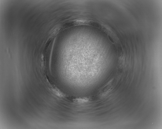 X0000053150765200507251841