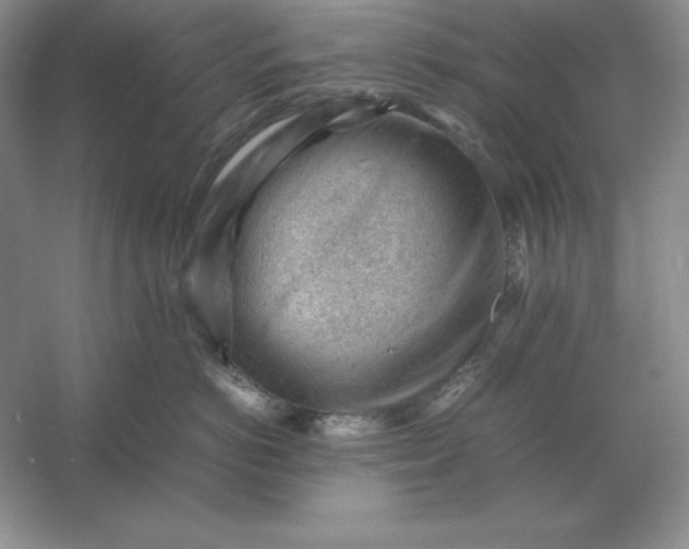 X0000053150766200507251841