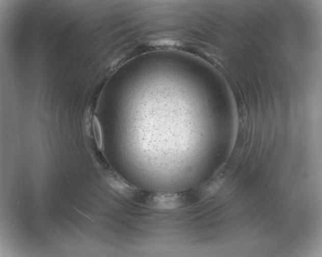 X0000053150767200507251841