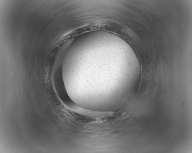 X0000053150773200507251841