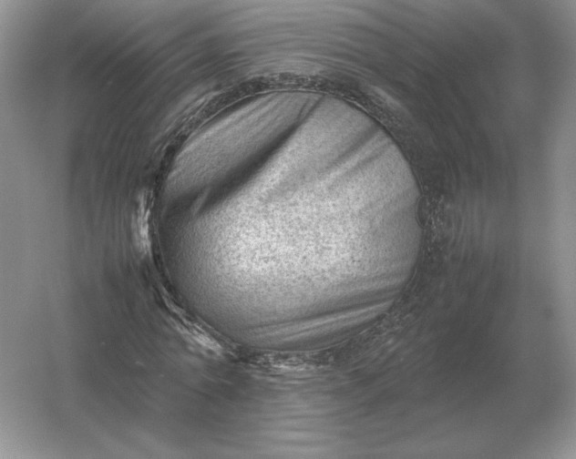 X0000053150774200507251841