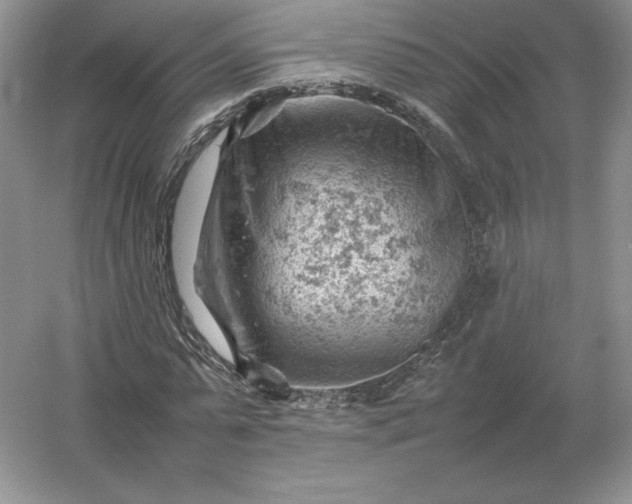 X0000053150775200507251841