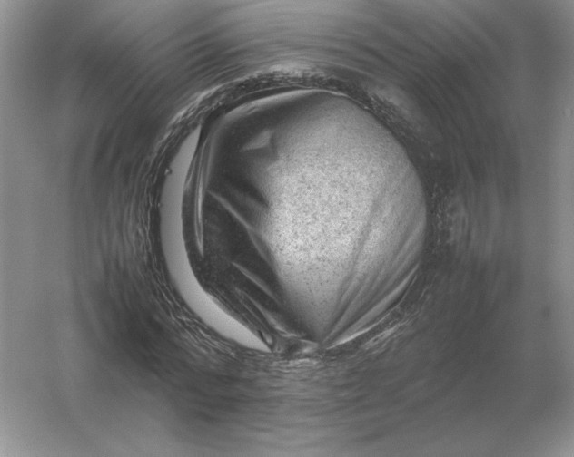 X0000053150776200507251841