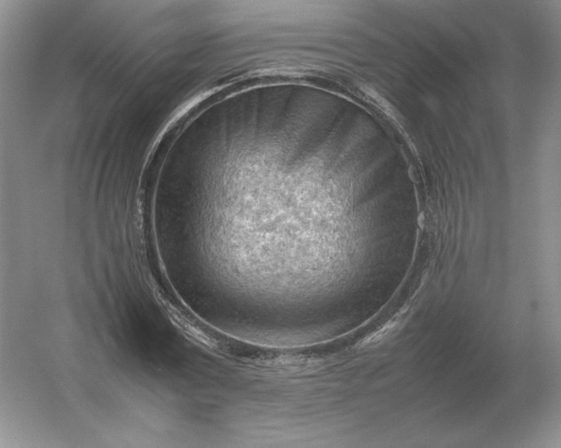 X0000053150779200507251840