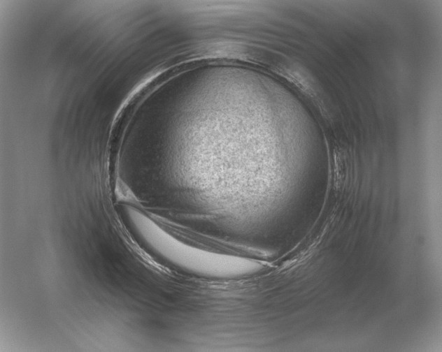 X0000053150780200507251840