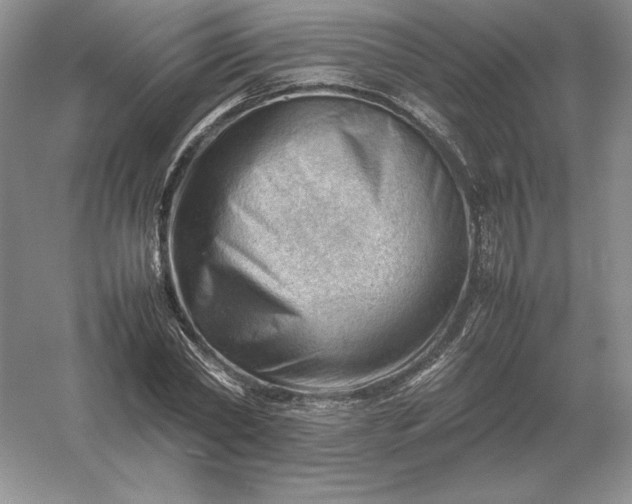 X0000053150782200507251840