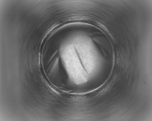 X0000053150786200507251840