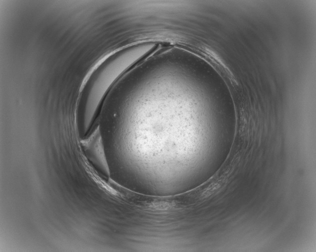 X0000053150788200507251840
