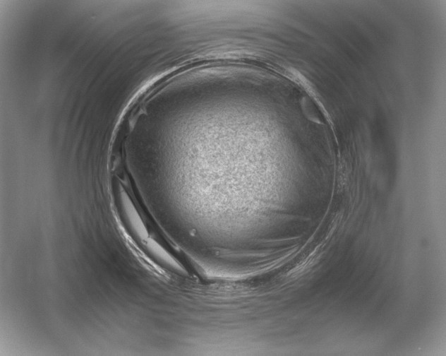 X0000053150795200507251840