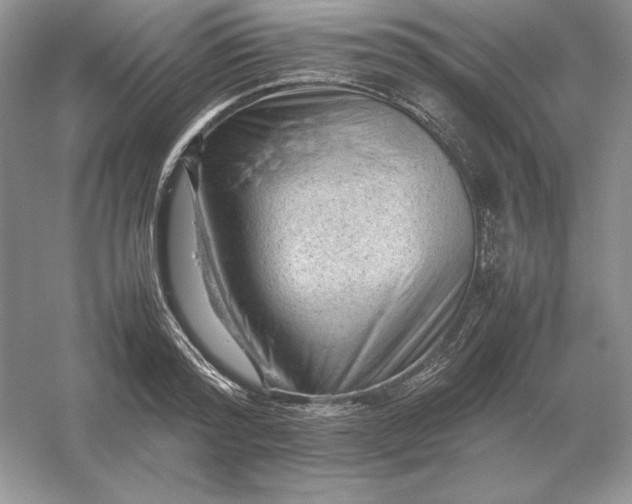 X0000053150796200507251840