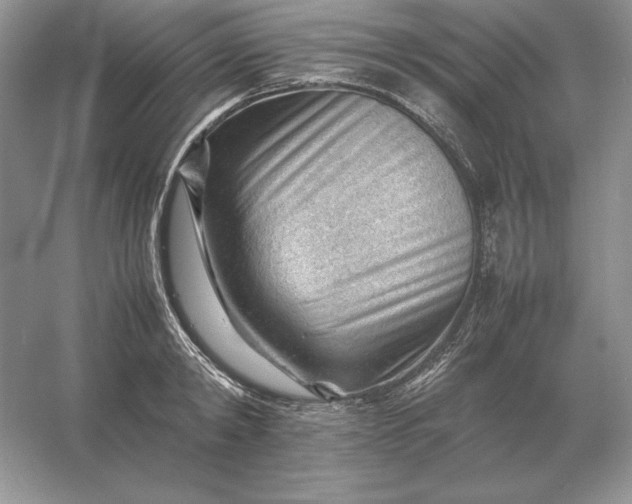 X0000053150798200507251840
