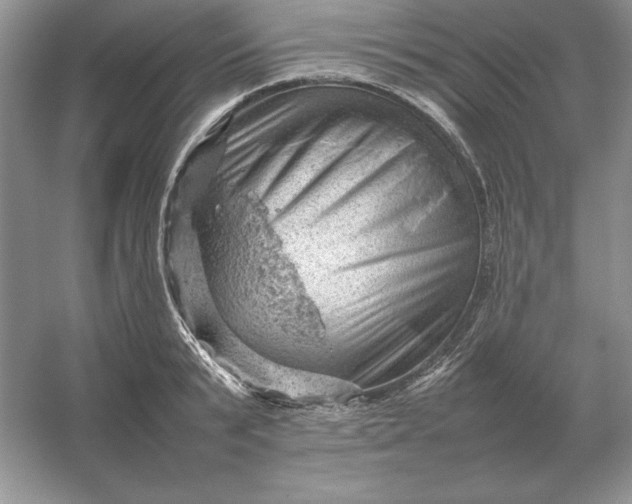 X0000053150799200507251840