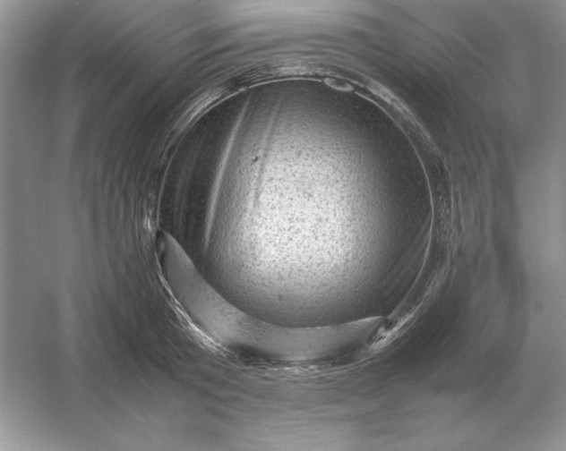X0000053150801200507251840
