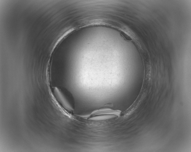 X0000053150806200507251840