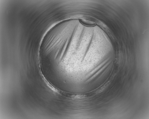 X0000053150808200507251840