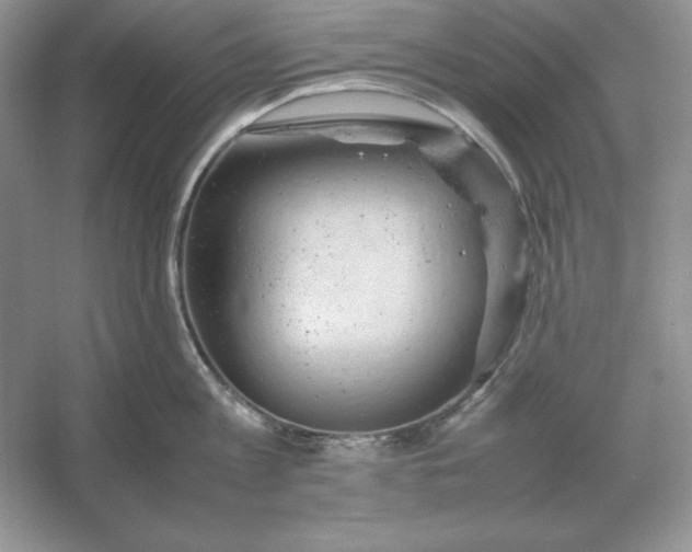 X0000053150813200507251840