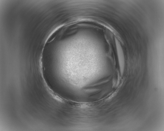 X0000053150814200507251840