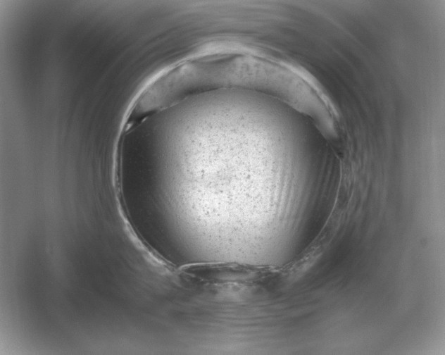 X0000053150815200507251840