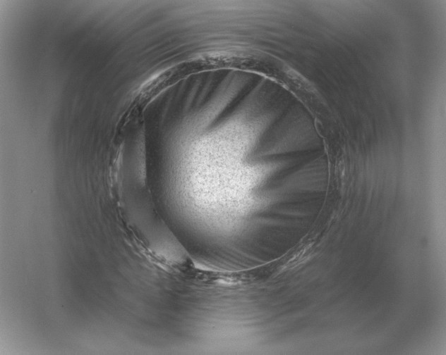 X0000053150822200507251839