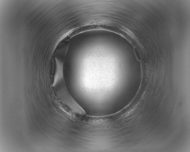 X0000053150826200507251839